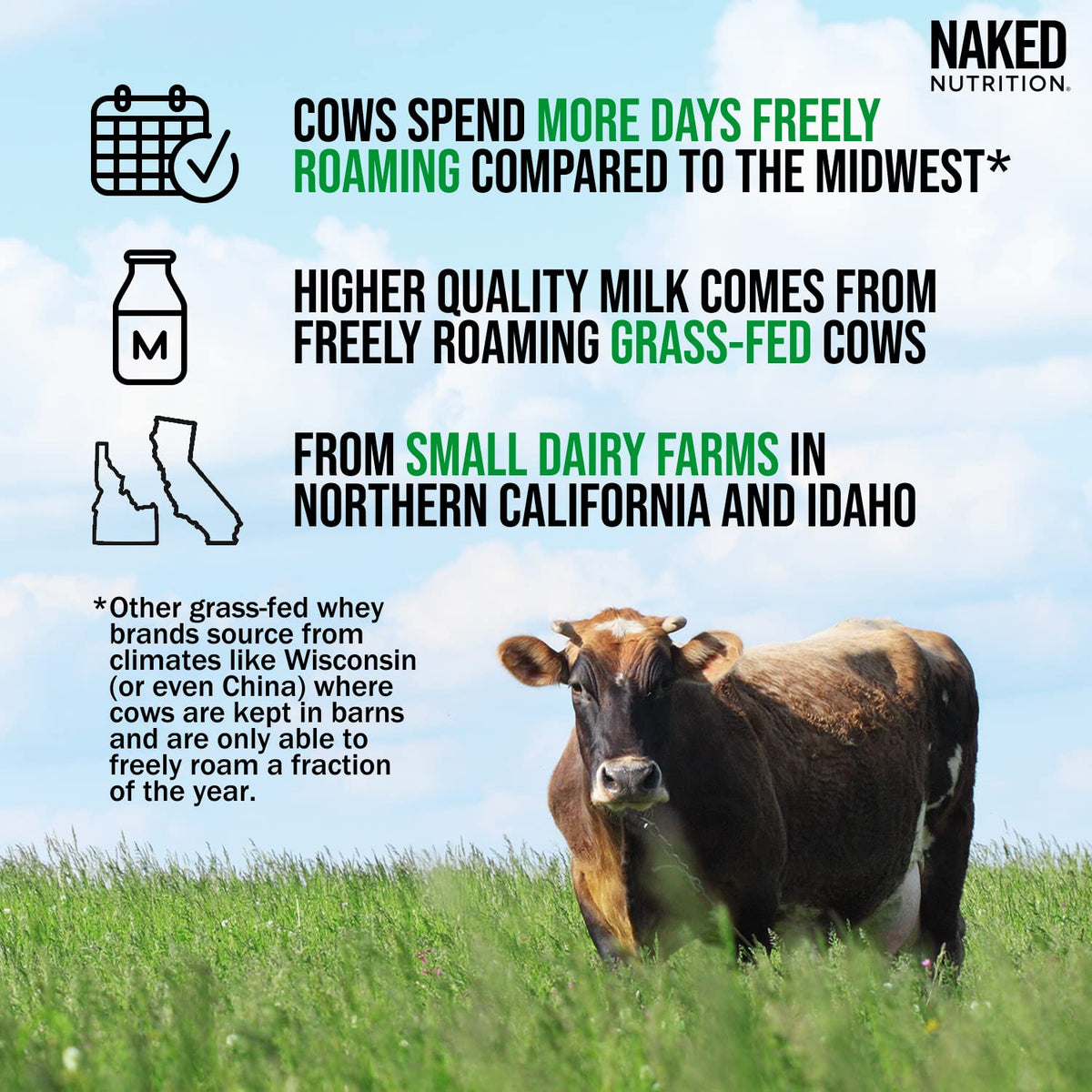 NAKED WHEY 5LB 100% Grass Fed Unflavored Whey Protein Powder - US Farms - Maple Wellness Supplements
