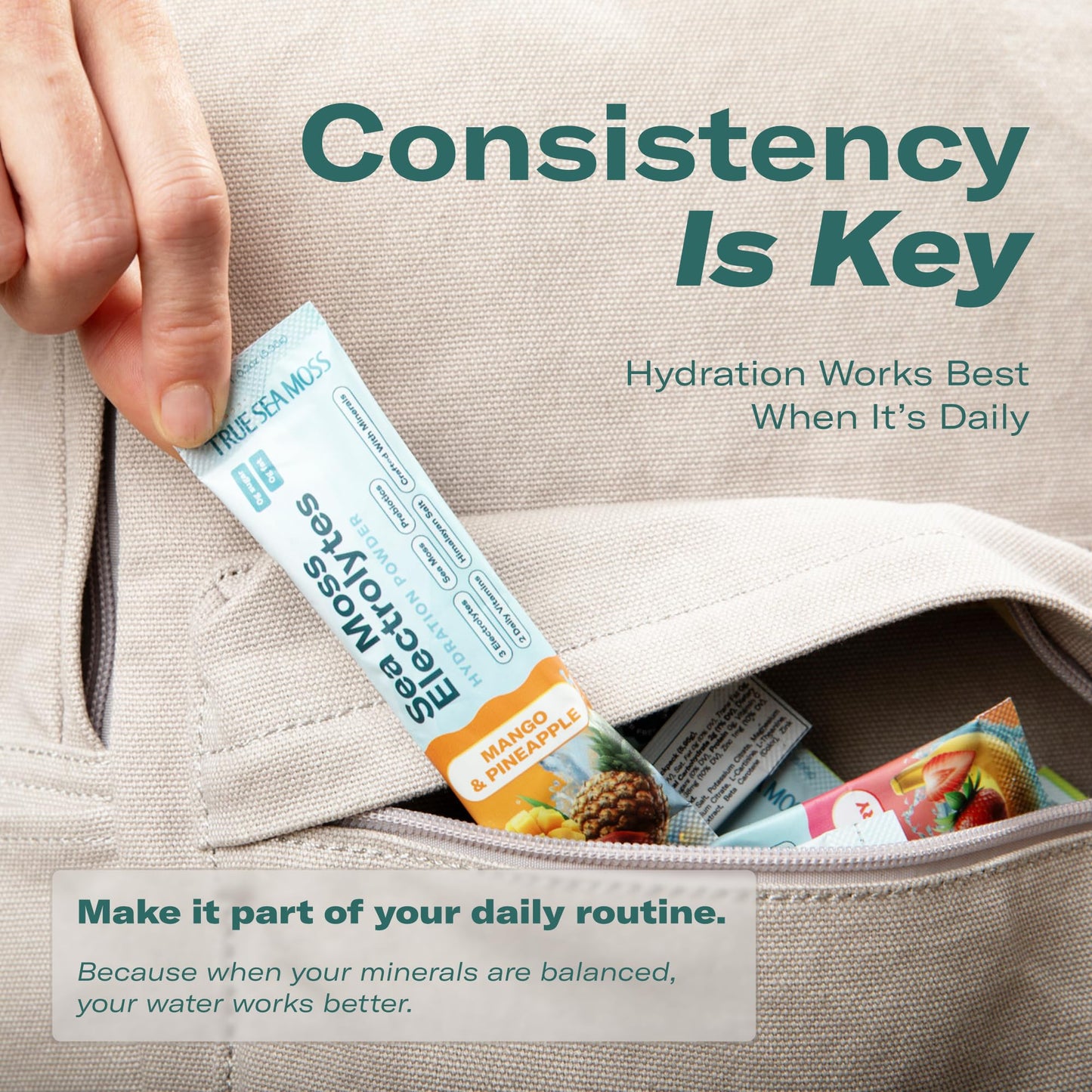 TrueSeaMoss Electrolytes Powder Packets – Made in USA – 16 Stickpacks – Hydration Powder with Sea Moss with Potassium – No Sugar Drinks – Variety Pack - Maple Wellness Supplements