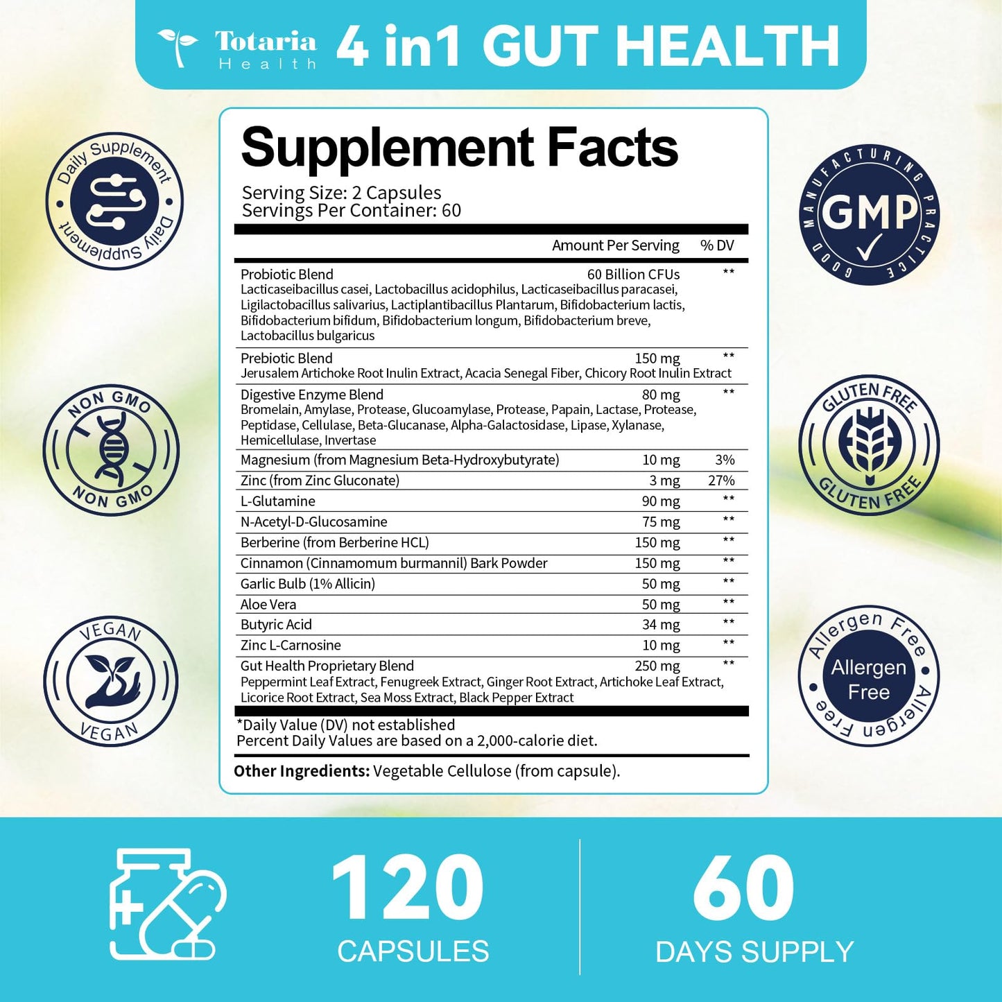14-in-1 Gut Health with Probiotics, Prebiotics, Postbiotics & Digestive Enzymes for Women & Men, 60 Billion CFU Probiotics for Digestion, Strong Immunity, - Maple Wellness Supplements