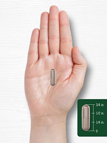 Carlyle Acai Berry Capsules 6000mg | 250 Count | Non-GMO & Gluten Free Acai Berry CarlyleBuy Supplements Australia