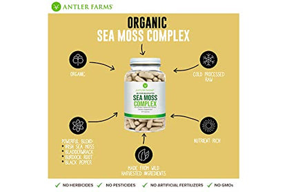 Antler Farms – 100% Pure Sea Moss Complex, 130 Capsules, Organic & Wildcrafted Irish Antler FarmsBuy Supplements Australia