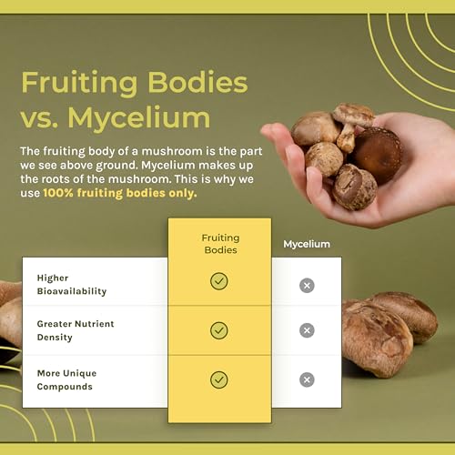Naturealm Sacred 7 Mushroom Extract Capsules - Chaga, Cordyceps, Lion's Mane NaturealmBuy Supplements Australia