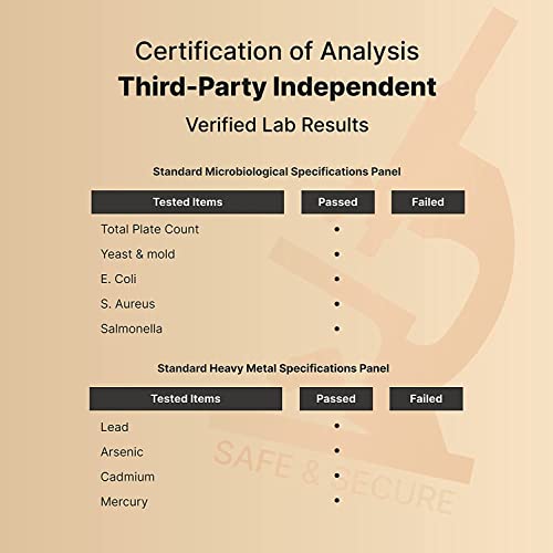 High Potency Zinc Picolinate 100mg - 240 Capsules, Bioavailable Form of Zinc NatureBellBuy Supplements Australia