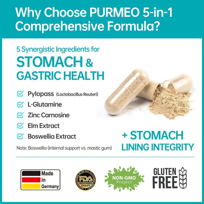 5-in-1 High Potency H. Pylori Probiotic, 1 Per Day - Supports Gastric Lining Integrity, Occasional Indigestion, Acid Comfort - Pylopass Lactobacillus Reuteri, Gluten Free, Vegan, 30ct, Made in Germany - Maple Wellness Supplements
