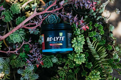 REDMOND Re-Lyte Hydration Electrolyte Mix (Strawberry Lemonade) REDMONDBuy Supplements Australia