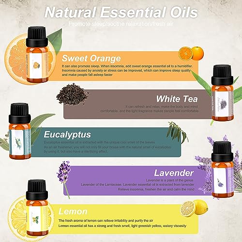 Mushroom Humidifier with Essential Oils, Night Light with 7 Changing Colors, Desk Cloud Lights MriykioBuy Supplements Australia