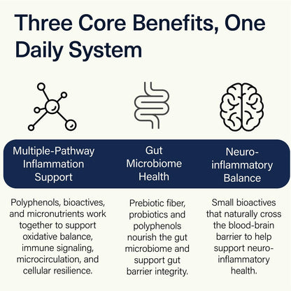 ACEND Advanced Inflammatory Support Powdered Drink Mix | Evidence-Based Polyphenols + Prebiotic Fiber + Probiotics | D3+K2, Minerals & Electrolytes | Non-GMO ACENDBuy Supplements Australia