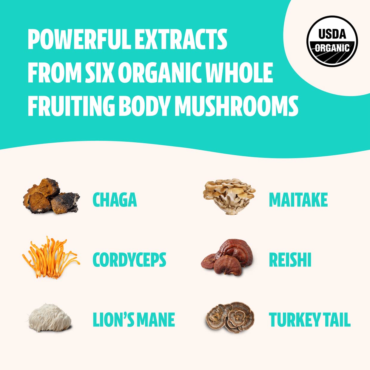 FreshCap Ultimate Mushroom Complex Powder - Lions Mane, Reishi, Cordyceps, Chaga FreshCap MushroomsBuy Supplements Australia