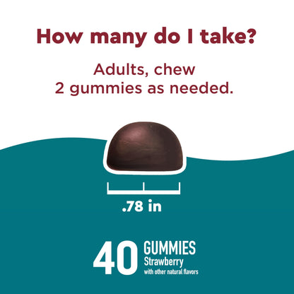 Nature Made Wellblends Stress Relief Gummies, L theanine 200mg to Help Reduce Stress, with GABA 100mg, Same Day Stress Support, 40 Strawberry Flavor Gummies Nature MadeBuy Supplements Australia