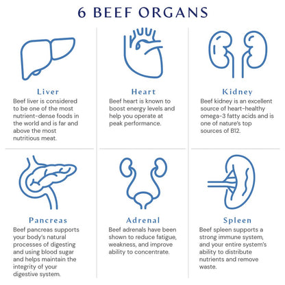 BodyHealth Organ+ Grass-Fed Glandular Organ Complex, Grassfed Beef Organ Supplement, Dessicated Beef Liver, Heart, Kidney, Pancreas, Spleen, Non GMO, Adrenal, Supplement, (150 Capsules) BodyHealthBuy Supplements Australia