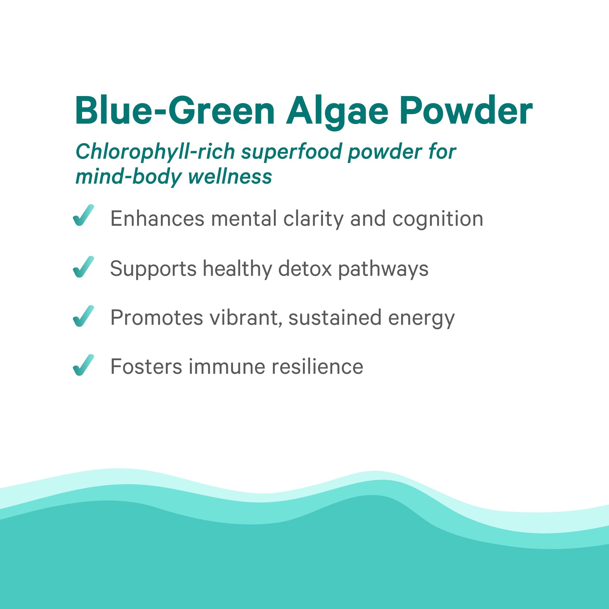 PURE SYNERGY Blue-Green Algae Powder | Superfood Powder with Chlorophyll | Organic AFA Blue Green Algae Supplement | Supports Energy, Mental Clarity, and Detoxification (3.2 oz.) PURE SYNERGYBuy Supplements Australia