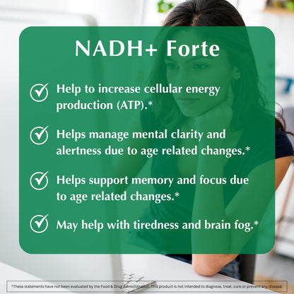PROVITA NADH+ Forte | Cognitive Support Supplement with NADH, Coenzyme Q10 & Chlorophyll | Energy Support, Focus, Mental Clarity & Brain Health | Vegan Capsules | High Absorption Cellular Formula PROVITABuy Supplements Australia