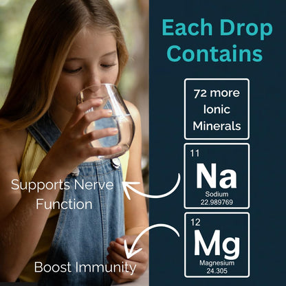 MAYU Trace Mineral Drops, 1 Bottle, Great-Tasting Hydration & Daily Energy, 80+ Full-Spectrum Trace Minerals, Third-Party Tested, Exceeds EU Standards, Magnesium, Potassium & Chloride, No Additives mayuBuy Supplements Australia