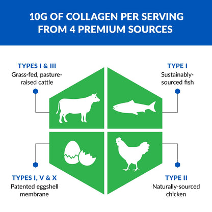 BioTrust Collagen Powder with Turmeric – 5 Types (I, II, III, V, X) + Turmeric BioTrustBuy Supplements Australia