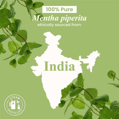 Handcraft Blends Peppermint Essential Oil - Huge 4 Fl Oz - 100% Pure and Natural - Premium Grade Handcraft BlendsBuy Supplements Australia