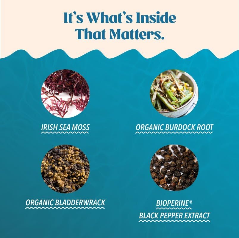 Akasha Superfoods Sea Moss Capsules, Organic Irish Moss with Bladderwrack Root, Burdock Root, and BioPerine, Skin, Thyroid, Digestion & Immunity Support for Women & Men, Gluten Free, Vegan, 60 Count Akasha SuperfoodsBuy Supplements Australia
