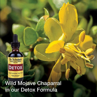 Dr. Schulze's 5 Day Kidney Dr. Schulze'sBuy Supplements Australia