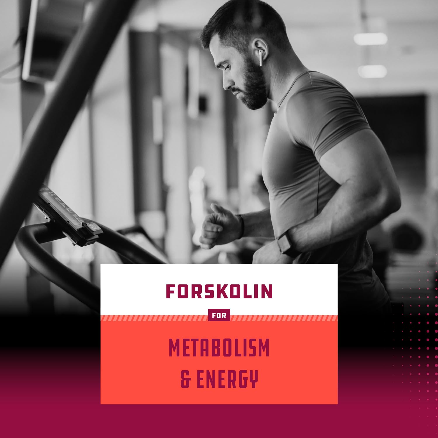 Pure Forskolin Extract - Fat Burning & Metabolism Boosting Weight Loss Supplement Natures CraftBuy Supplements Australia