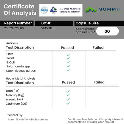 Naturonel Macular Support Formula – Vision & Eye Health with Lutein, Zeaxanthin, Bilberry, Eyebright & Antioxidants | Non-GMO, Made in USA, GMP Certified – 60 Capsules, 30 Day Supply (1) NaturonelBuy Supplements Australia