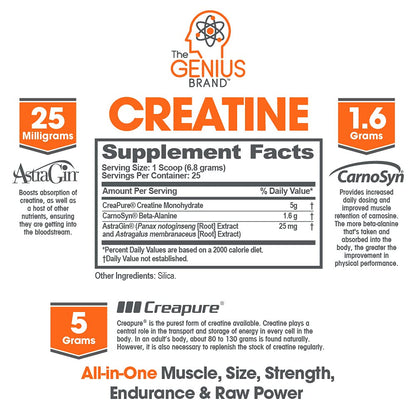 Genius Pre Workout Powder, Sour Apple, and Genius Micronized Creatine Monohydrate Powder, Unflavored, All Natural Nootropic Pre Workout and Post Workout Supplement Stack