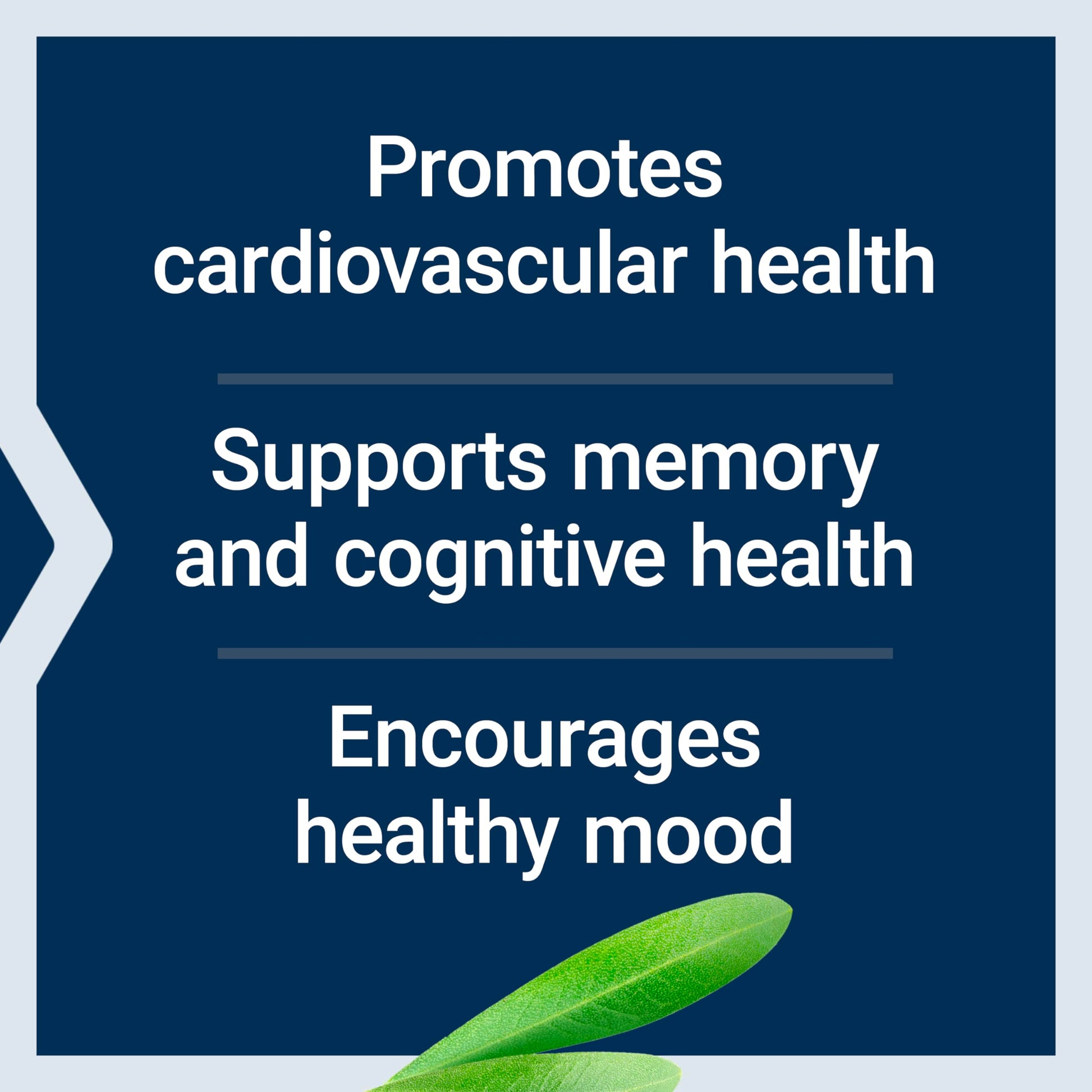 Life Extension Healthy Aging Powder, Healthy Aging Supplement, Heart Health, Brain Health, Exercise Performance, Taurine, Lithium, spermidine, Powder Blend, Non-GMO, Vegetarian, 30 Servings Life ExtensionBuy Supplements Australia