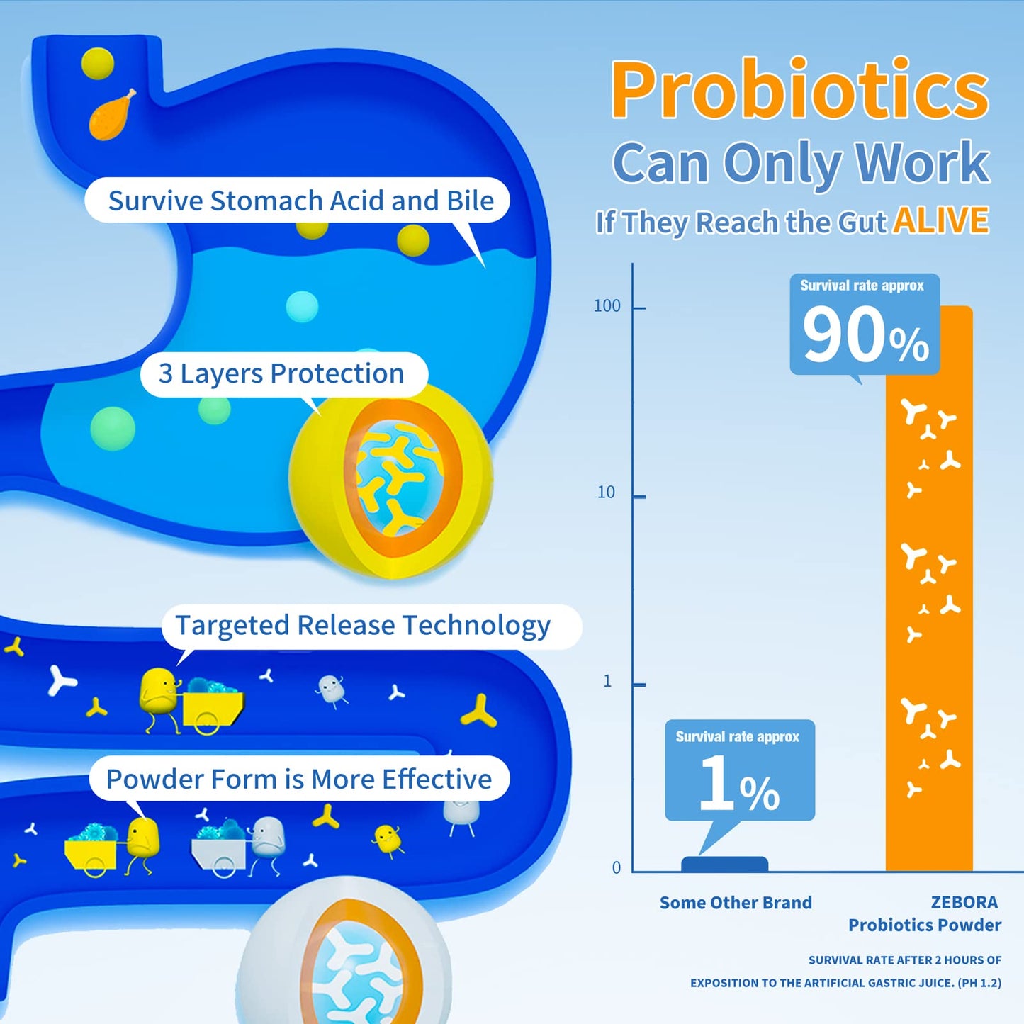 ZEBORA Probiotics for Women, Men and Kids, Prebiotics and Probiotics Powder ZEBORABuy Supplements Australia