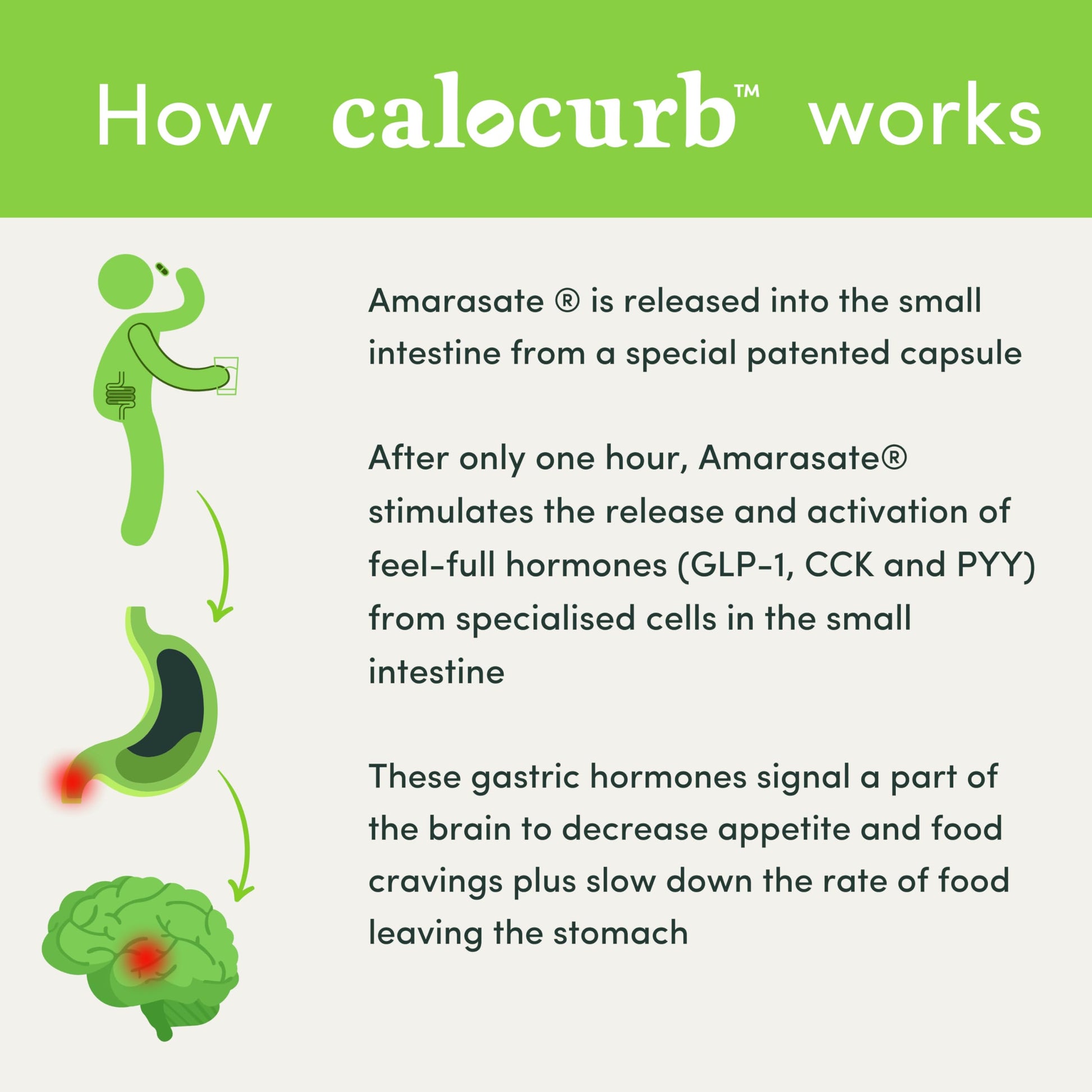 Calocurb Calorie Control Supplement, Natural GLP-1 Activator, 90 Count (1 Month Average CalocurbBuy Supplements Australia