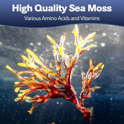 25-in-1 Sea Moss Black Seed Oil Ashwagandha Ginger Shilajit Supplement, Sea Moss Capsules Pro with Bladder Burdock Ceylon Cinnamon Berberine ACV Manuka VIT C & D3 for Men Women, 120 Vegan Caps TotariaBuy Supplements Australia
