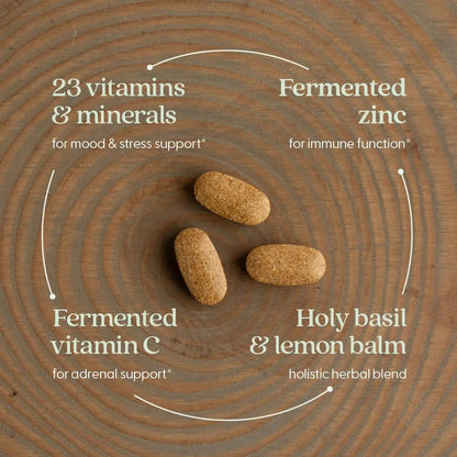 New Chapter Perfect Calm - Daily Multivitamin for Stress & Mood Support with B Vitamins + Holy Basil + Lemon Balm New Chapter