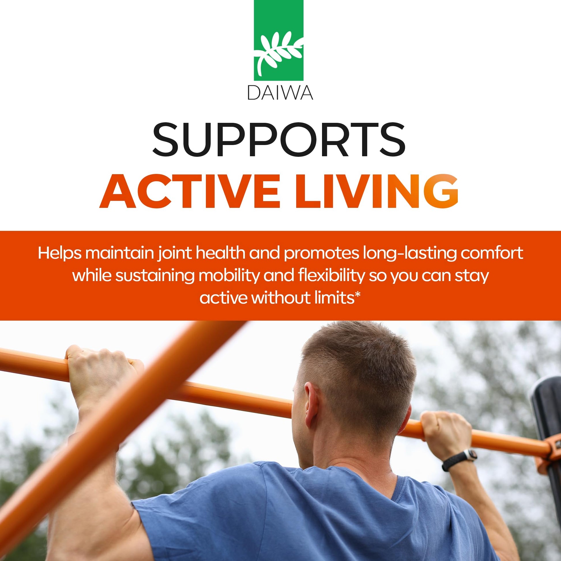Daiwa Joint Health - Tendon and Ligament Supplements with Chinese Skullcap and Acacia Catechu - Traditional Plant-Based Formula for Active Lifestyles - Non-GMO, 30 Vegetarian Capsules Daiwa Health DevelopmentBuy Supplements Australia