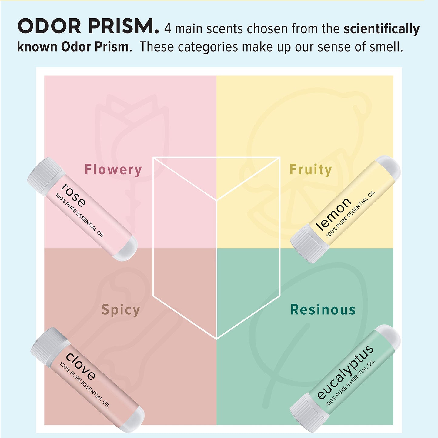 MOXĒ Smell Training Kit, Made in USA, 4 Essential Oils, Olfactory Regeneration, Helps Restore Sense MOXEBuy Supplements Australia