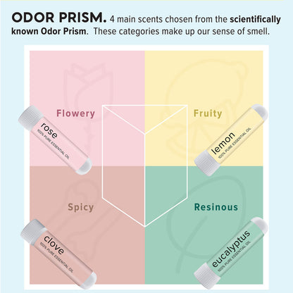 MOXĒ Smell Training Kit, Made in USA, 4 Essential Oils, Olfactory Regeneration, Helps Restore Sense MOXEBuy Supplements Australia