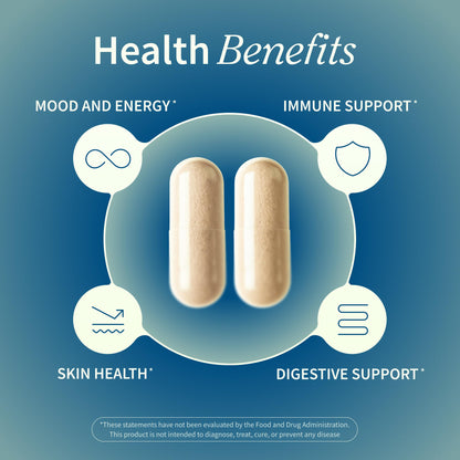 Snap Supplements Irish Sea Moss with Bladderwrack, Burdock Root & Iodine – Natural Sea Moss Supplement to Support Gut Health, Energy & Healthy-Looking Skin, 60 Vegan Capsules (1 Month Supply) Snap SupplementsBuy Supplements Australia
