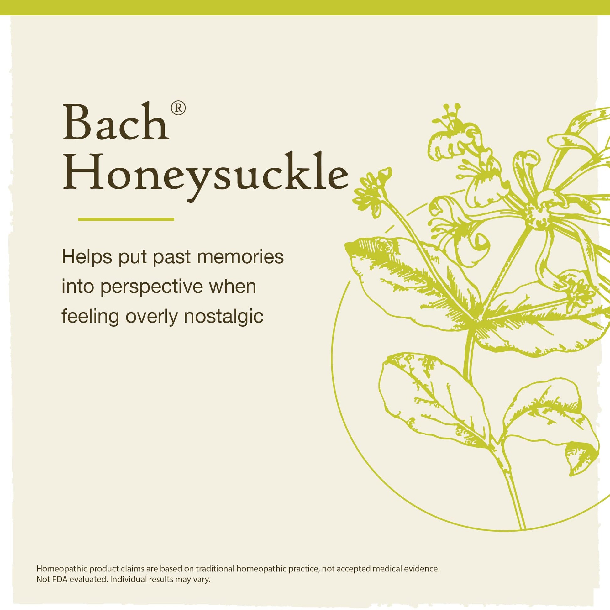 Bach Original Flower Remedies, Honeysuckle for Embracing The Now (Non-Alcohol Formula) BachBuy Supplements Australia