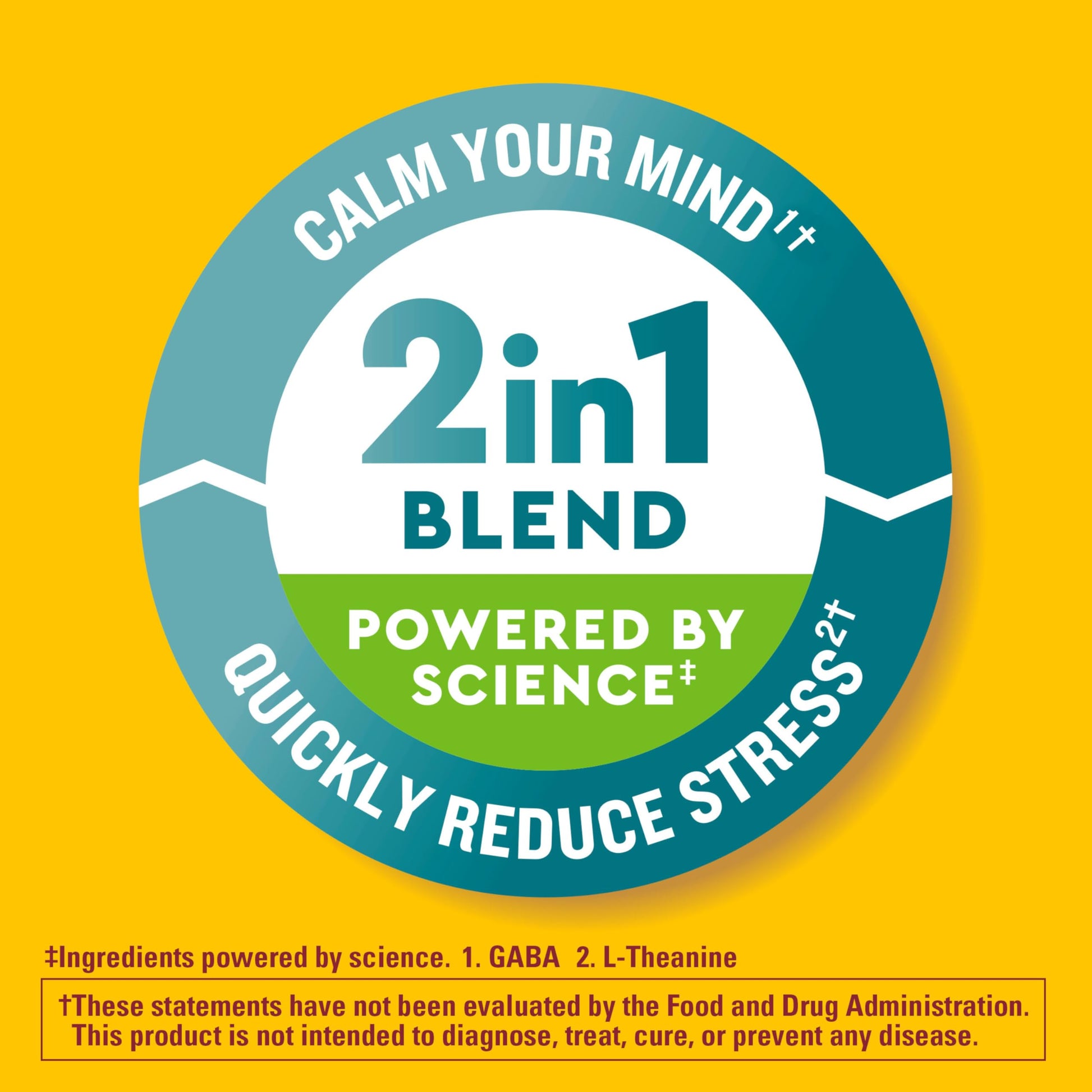 Nature Made Wellblends Stress Relief Gummies, L theanine 200mg to Help Reduce Stress, with GABA 100mg, Same Day Stress Support, 40 Strawberry Flavor Gummies Nature MadeBuy Supplements Australia