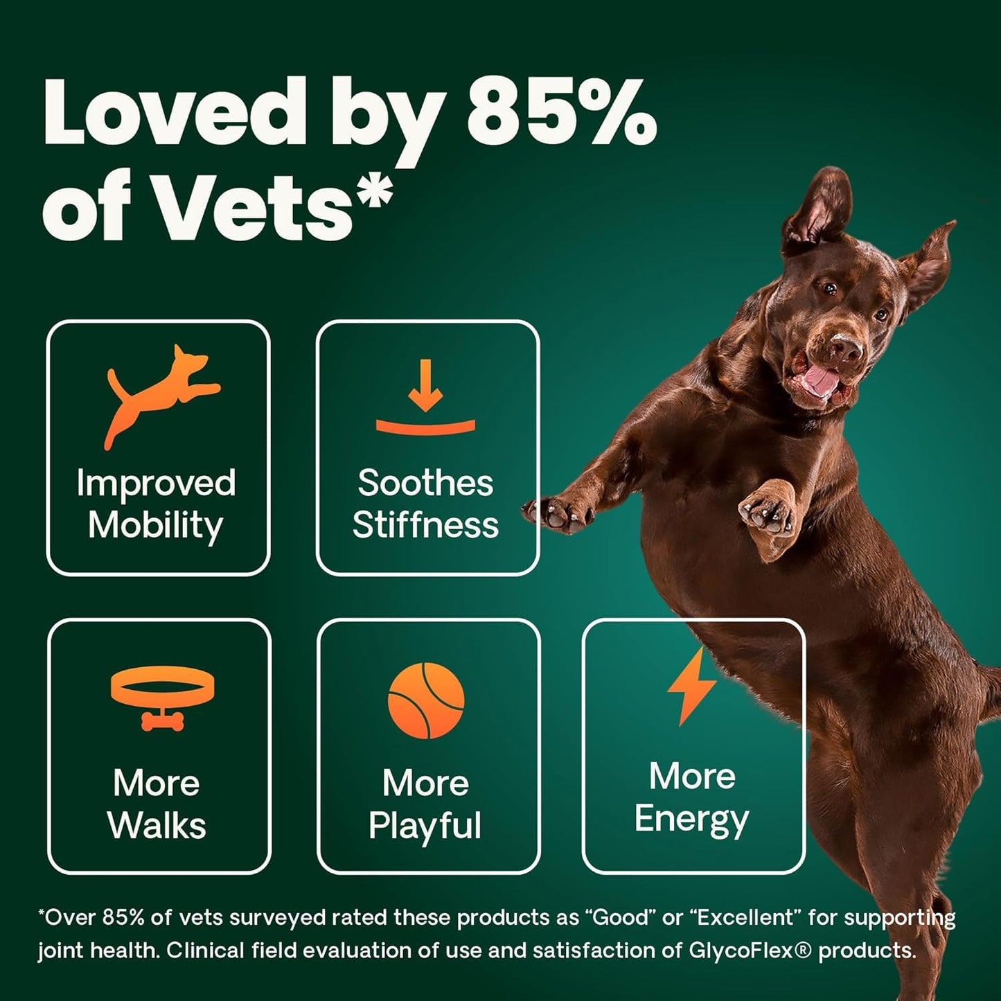 VetriScience Ultimate Strength Healthy Hip & Joint Chews, GlycoFlex Glucosamine, Chondroitin and Green-Lipped Mussel Joint Support Supplement for Dogs, Soothe Joint Discomfort, Duck, 120 Count VETRISCIENCEBuy Supplements Australia