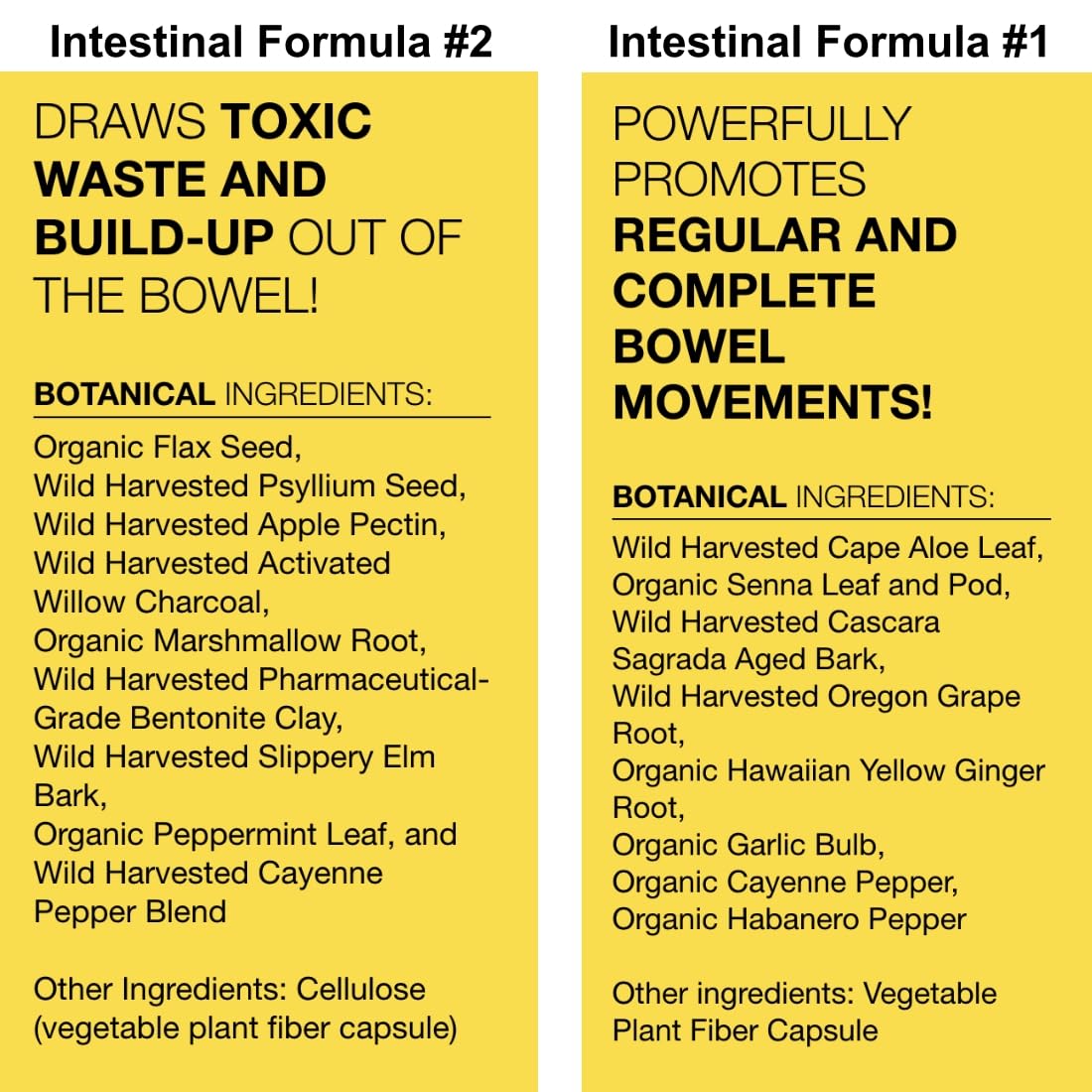 Dr. Schulze's Intestinal Formula #2 (8 Ounces) and Intestinal Formula #1 Capsules (90 Capsules) - Organic Herbal Supplements Dr. Schulze'sBuy Supplements Australia