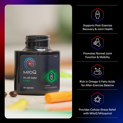MitoQ +Joint Advanced CoQ10 Antioxidant Supplement - Contains Mitoquinol Mesylate & Green Lipped Mussel Omega Oil Extract - Supports Healthy Joint, Mobility and Cell Vitality (60 Softgel Capsules) MitoQBuy Supplements Australia