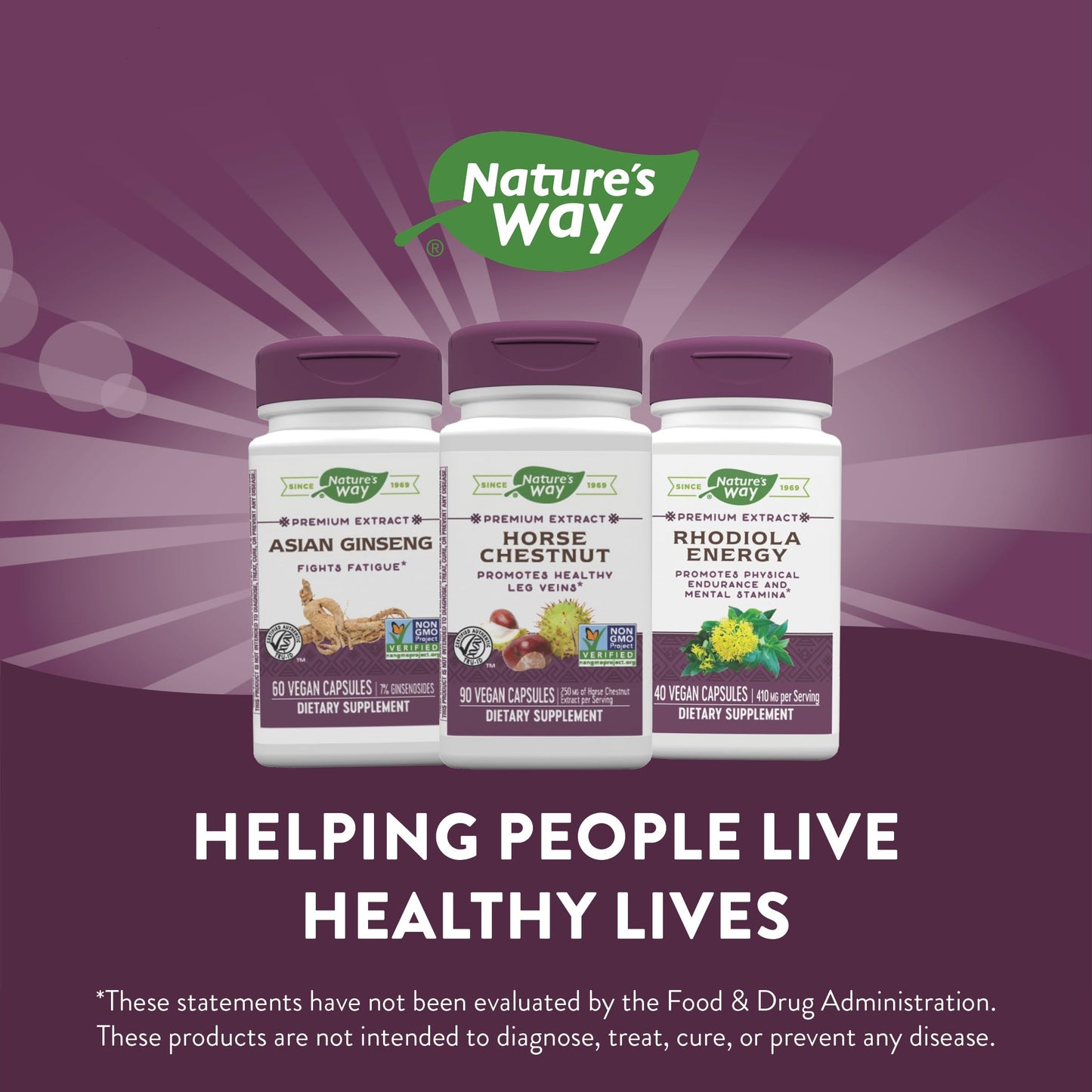 Nature's Way Standardized Horse Chestnut, Premium Extract for Healthy Veins and Blood Nature's WayBuy Supplements Australia
