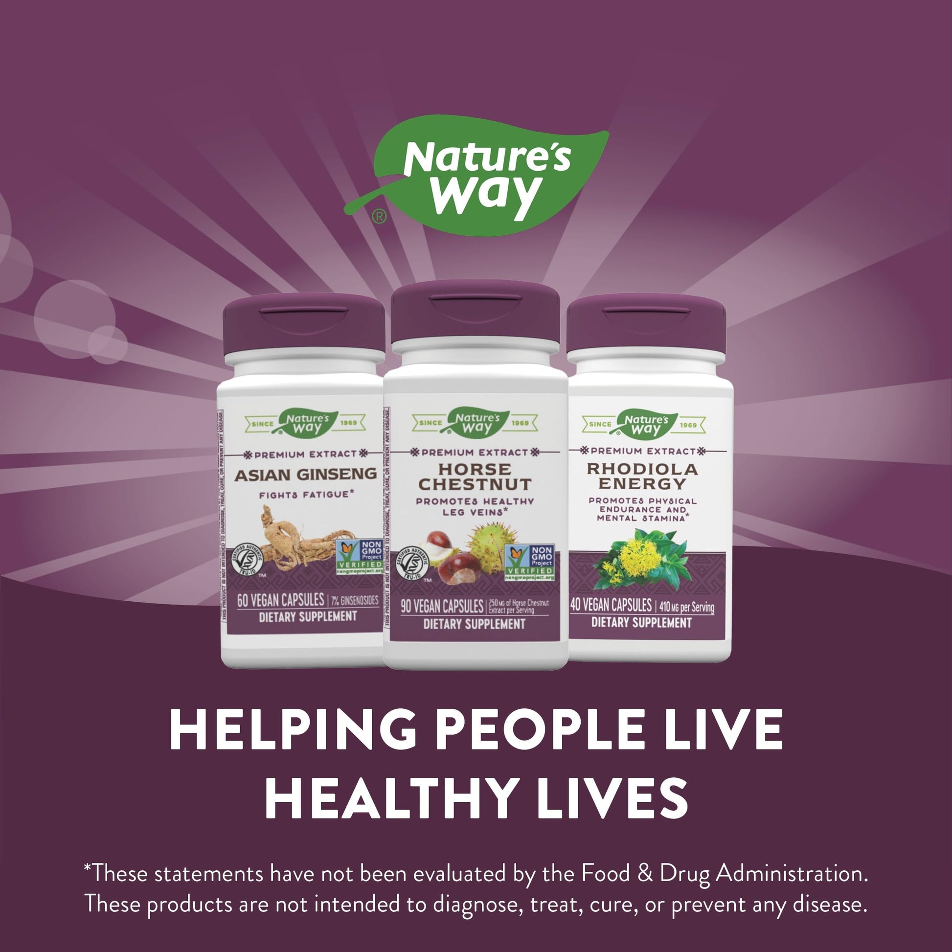 Nature's Way Standardized Horse Chestnut, Premium Extract for Healthy Veins and Blood Nature's WayBuy Supplements Australia