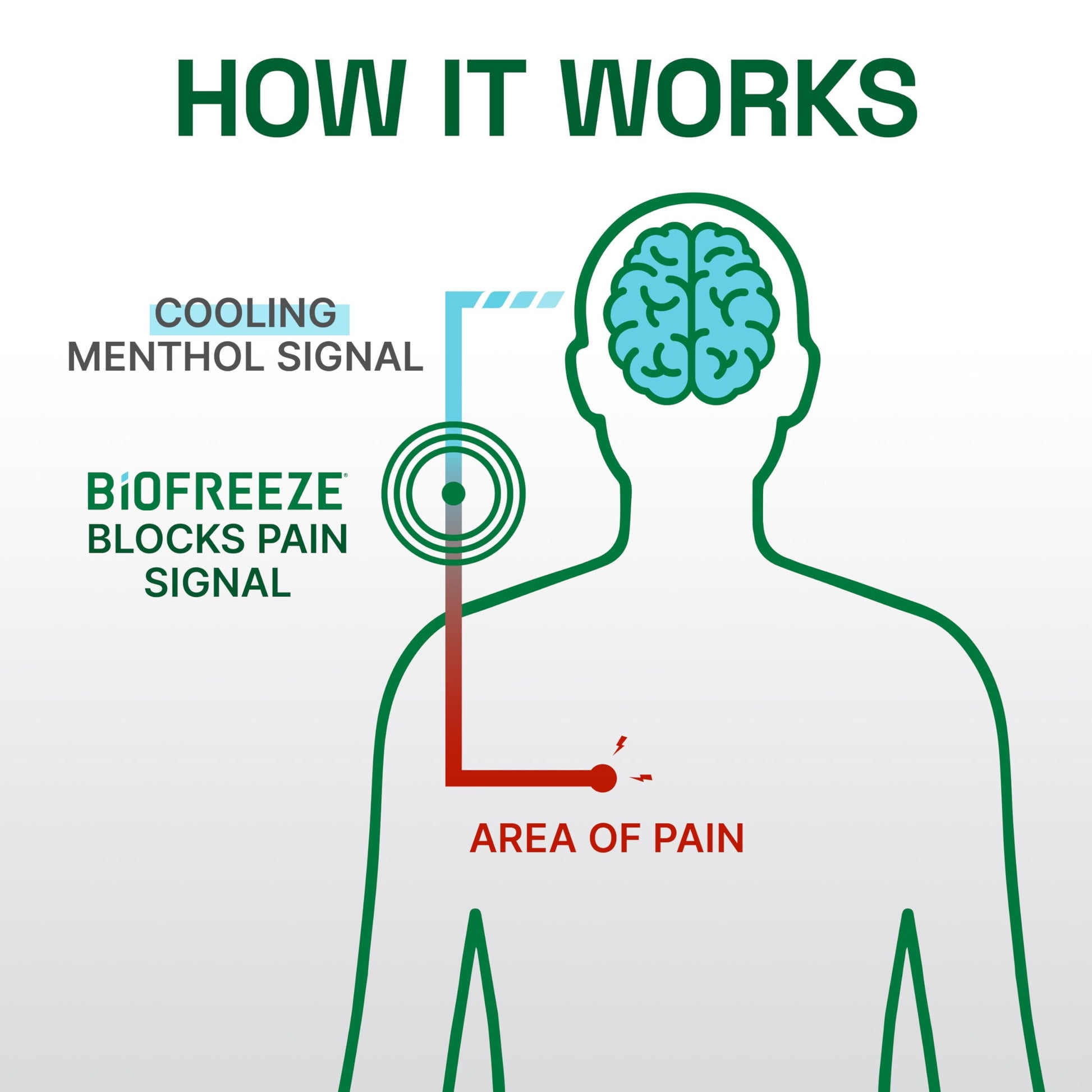 Biofreeze Professional Colorless Pain Relief Roll On, Knee & Simple Backache Relief, Arthritis Pain Reliever, Neck Pain Relief, Cooling Joint Pain Relief, Roll-On Menthol Gel 3 Fl Oz BiofreezeBuy Supplements Australia