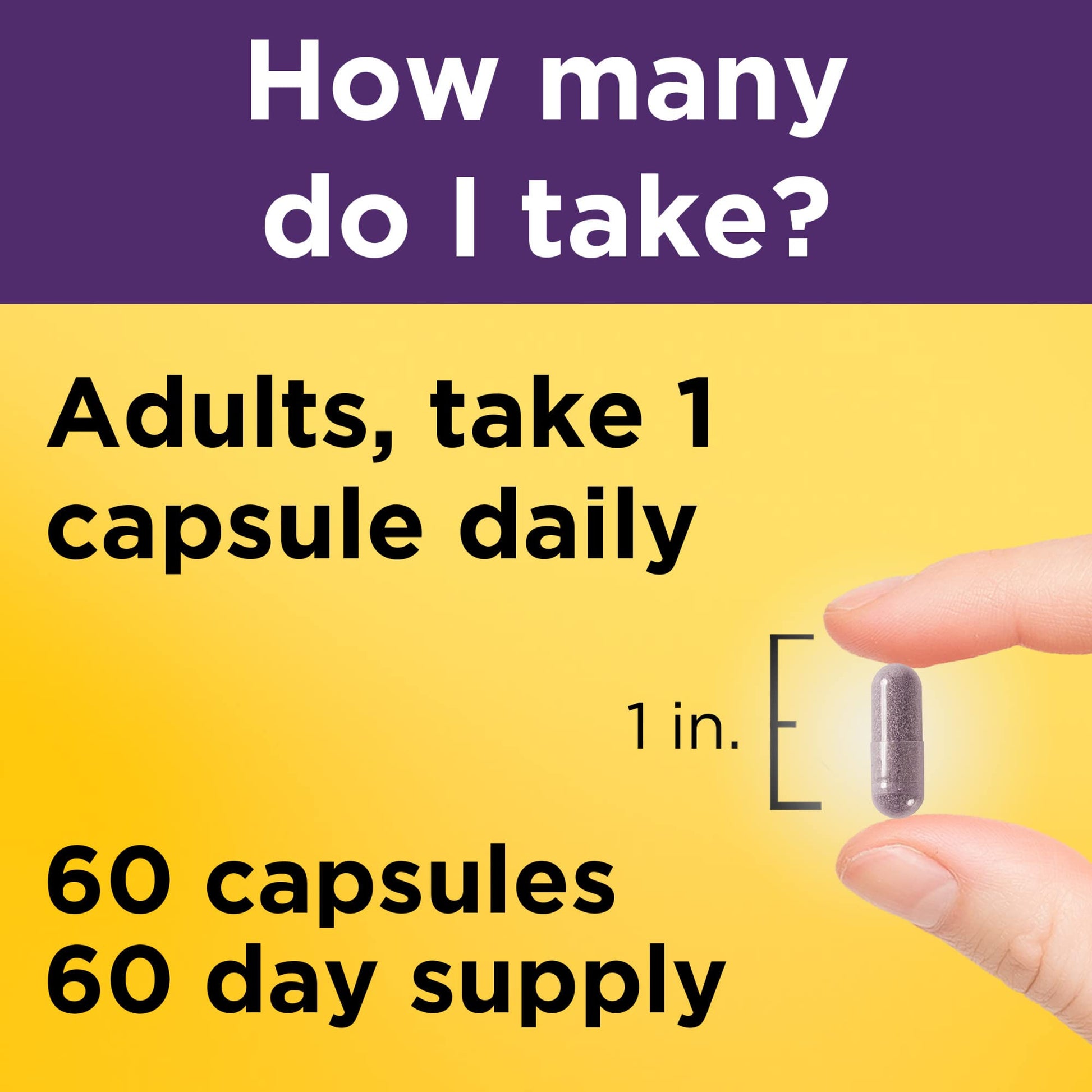 Nature Made Elderberry 400 mg Extract with Vitamin C and Zinc, Dietary Supplement Nature MadeBuy Supplements Australia