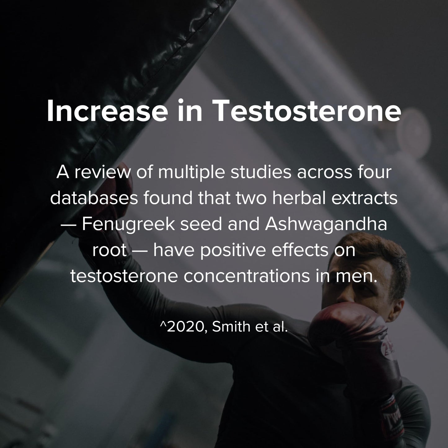 STRIVLABS Peak Potential 12-in-1 Testosterone Support for Men – Natural Strength, Energy & Muscle Builder with Tongkat Ali, Ashwagandha & Fenugreek – 90 Capsules STRIVLABSBuy Supplements Australia