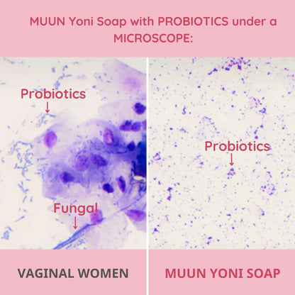 Muun Yoni Soap Bar - Pack 3 Ph Balance Probiotics & Natural Ingredients - Gentle Cleansing Formula MuunBuy Supplements Australia