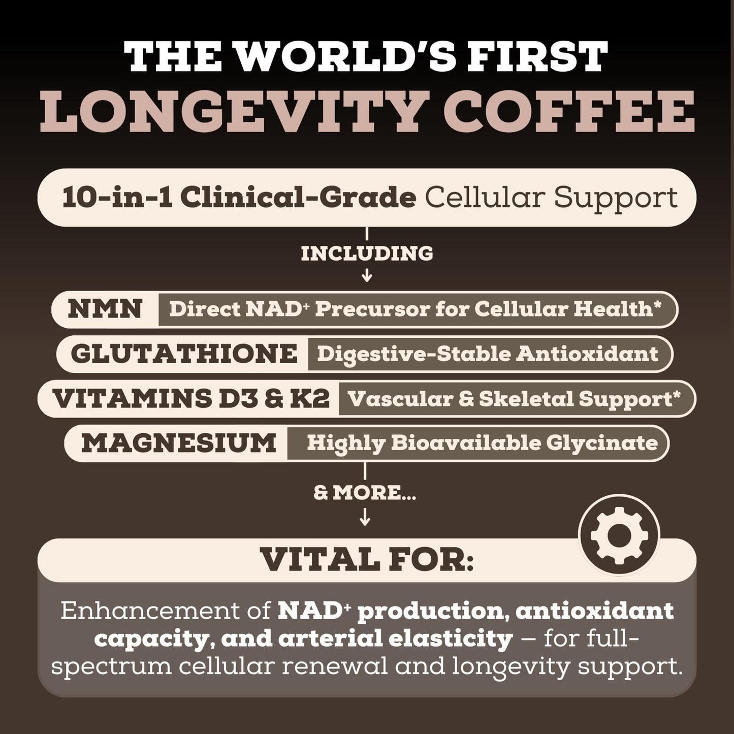 Black Forest Longevity Mix Liquid NAD+ Alternative Mocha Coffee 10-in-1 with NMN 250mg, Glutathione 250mg, TMG, Magnesium Glycinate, Vitamins D3 K2 C B12, High Polyphenol Cocoa, 30 Servings