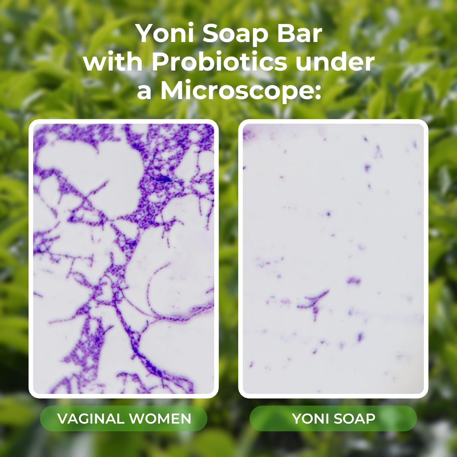 Feminine Wash & Yoni Oil & Yoni Soap Tea Tree Set for Women, Yoni Wash for Vaginal Ph Balance Remove BASSIBuy Supplements Australia