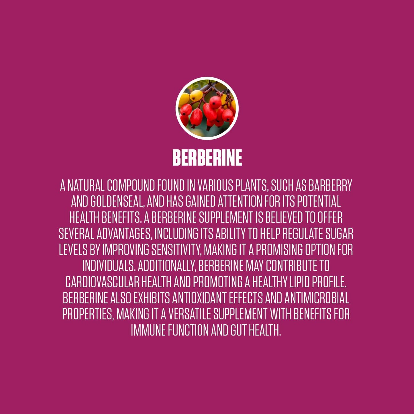 Berberine Extra Strength | #1 Rated Berberine Supplement for Heart Health, Improve Energy EPN SupplementsBuy Supplements Australia