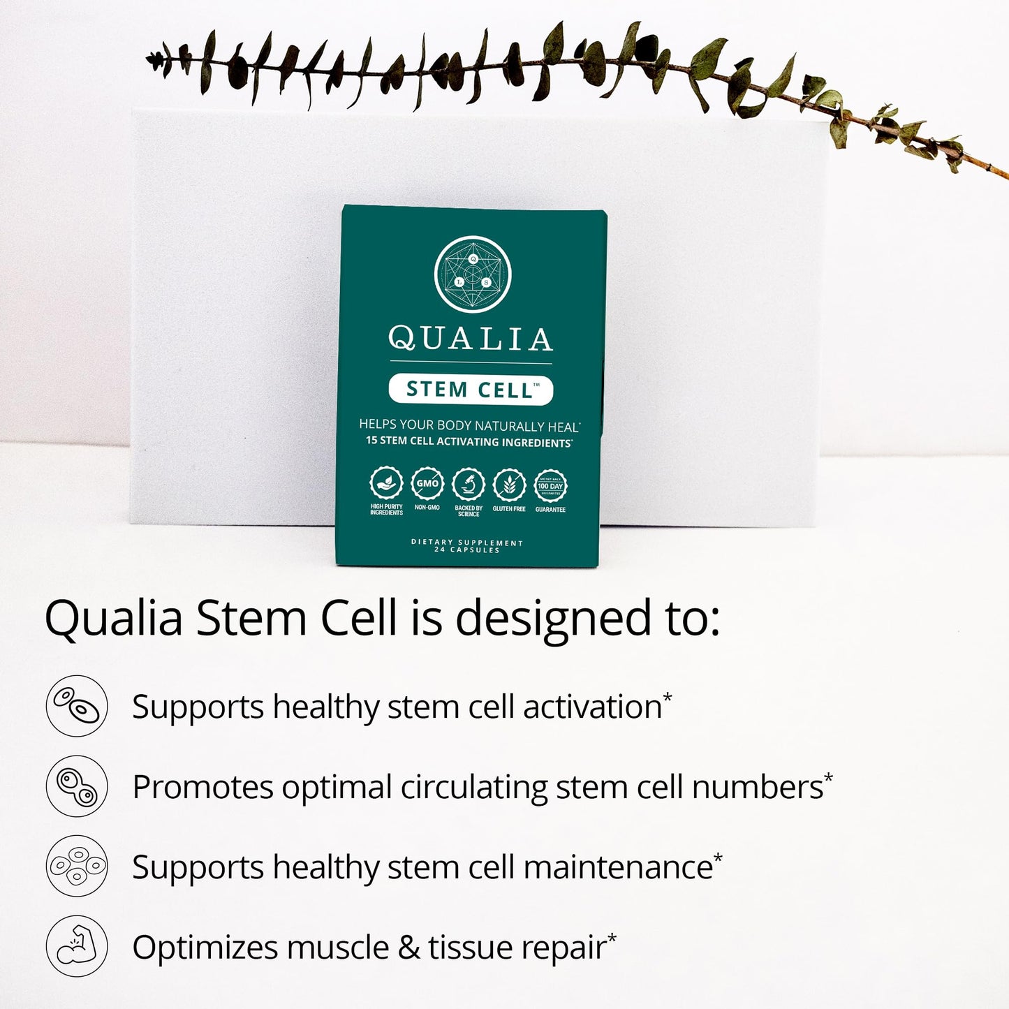 Qualia Stem Cell — Stem Cell Supplement Support with Royal Jelly, Astragalus & Sea Buckthorn | 16 Ingredients | 4 Days a Month | Helps Body Naturally heal* QUALIA LIFE SCIENCESBuy Supplements Australia