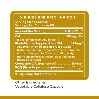 Premier Research Labs Premier PQQ Complex with CoQ10 - Coenzyme Q10, Co Q 10 Supplement with Pyrroloquinoline Quinone (PQQ) for Antioxidant, Brain & Heart Support - 60 Vegetarian Capsules Premier Research LabsBuy Supplements Australia