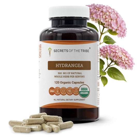Secrets of the Tribe Hydrangea USDA Organic Capsules | Certified Organic Vegetarian Capsules, Herbal Dietary Supplement | Hydrangea arborescens Dried Root (120 Count) Secrets of the TribeBuy Supplements Australia